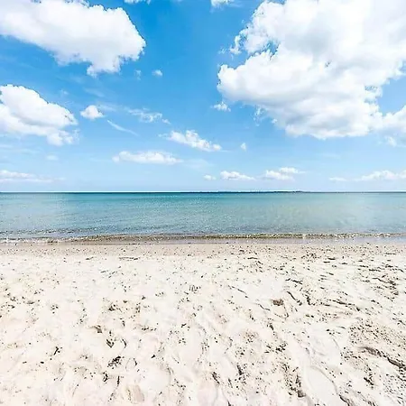 30369-odder-rude-hedevej-15 *